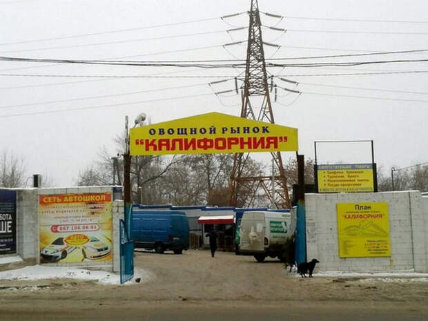 «Дорогая, мы едем в Калифорнию!»