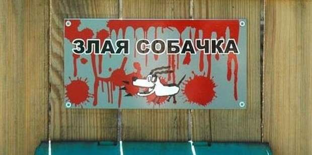 20 красноречивых табличек, которые убеждают с порога