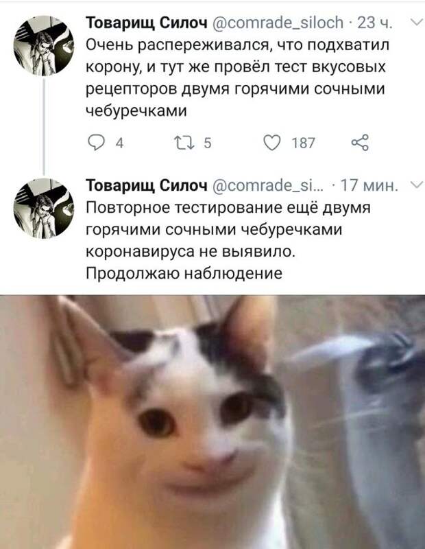 1596534384_podb_02.jpg