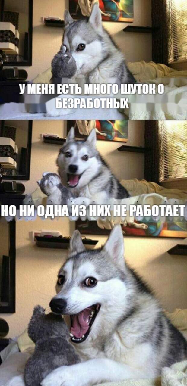 Шутки за 300 Шутки за 300 безработица, прикол, работа, трудоустройство, юмор