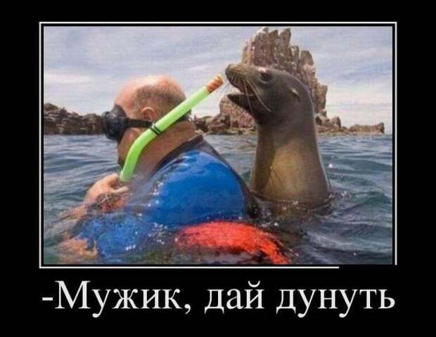 r7bFOeQbUkg