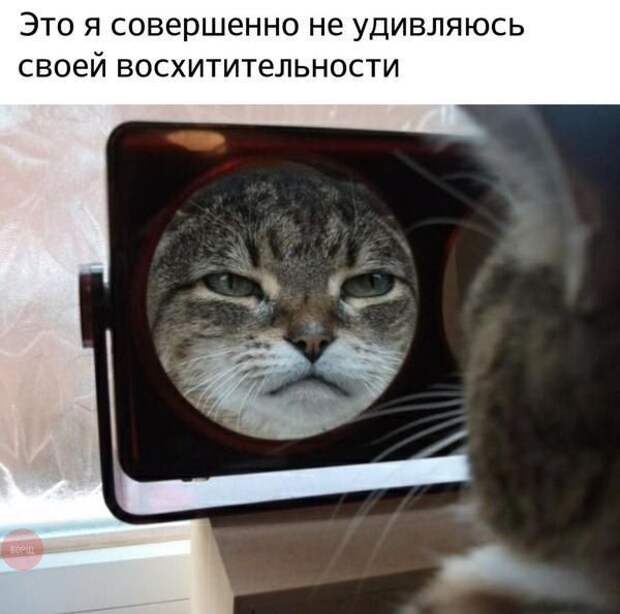 1478456763_114