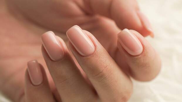 Pravda.Ru: черный и бордовый подойдут для маникюра «прозрачные чулки»