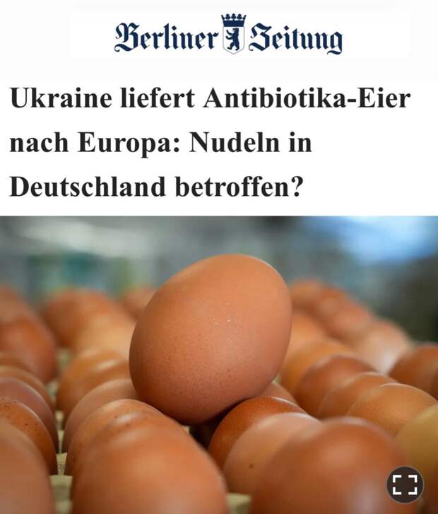 «Украина поставляет яйца с антибиотиками в Европу»: Импорт украинских яиц растёт