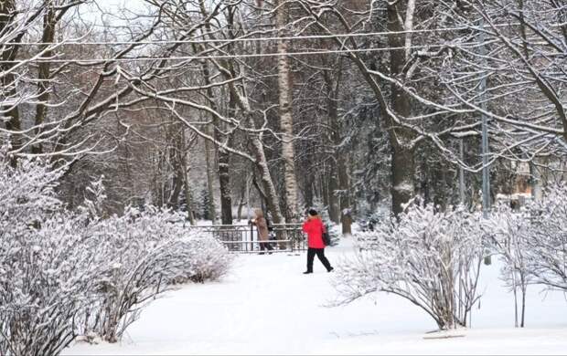 В Санкт-Петербурге объявили "жёлтый" уровень опасности из-за сильного ветра