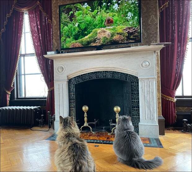 фото приколы