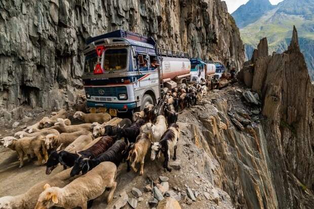 Опасная дорога в Индии (8)