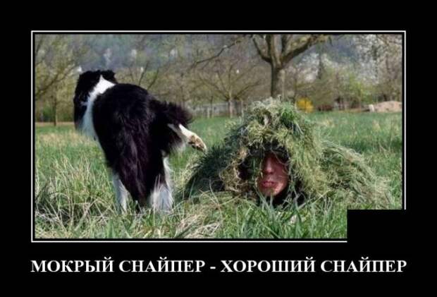 www.vsyako.net
