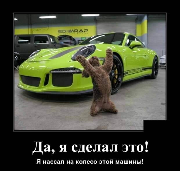 Демотиваторы (30 фото)
