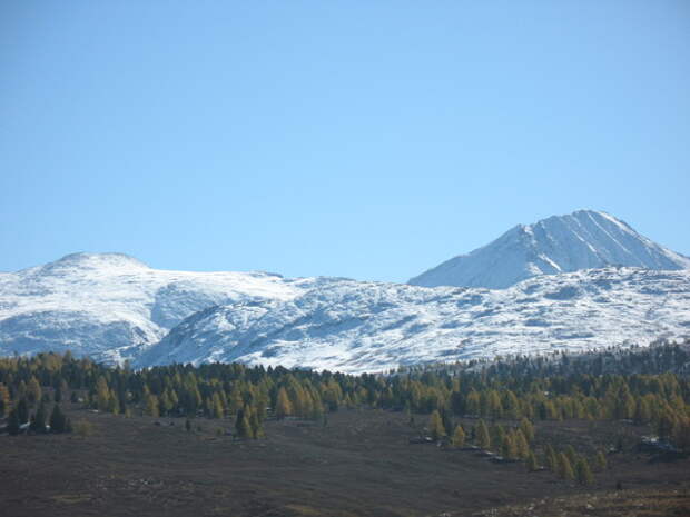 10, 11 Наука и Смысл Жизни