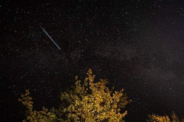 Когда загадывать желания: названа ночь пика звездопада Лириды