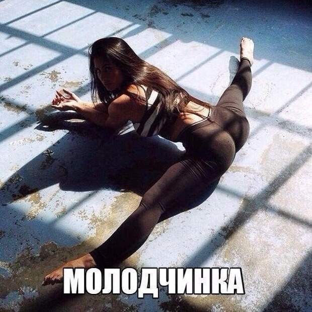 Смешные картинки с надписями прикол, юмор