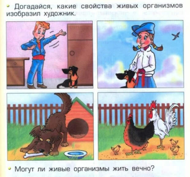 С нотками фатализма.