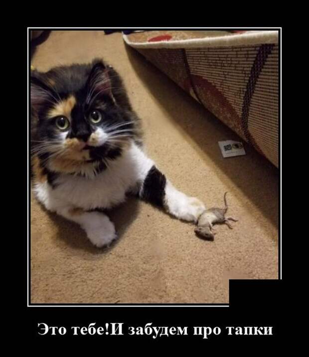 Демотиватор про кота и мышь