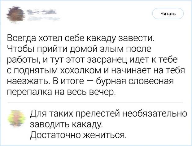 Комментирование - это искусство. Подборка острот с просторов Интернета (19 фото)