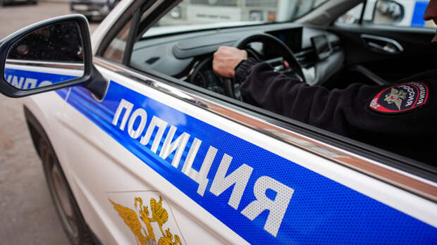 В России стали чаще раскрывать киберпреступления