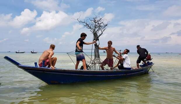 Транспортировка древо жизни, защита, коралл, природа, риф, скульптура, таиланд