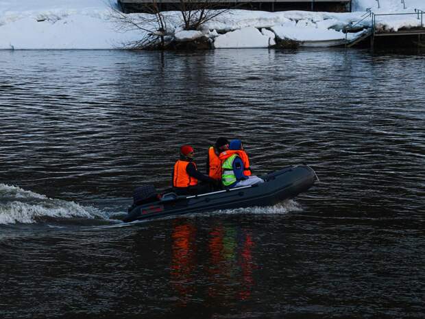 Что известно о поисках Алины, которая пропала 10 дней назад в Звенигороде