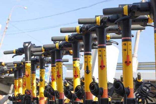 В Сочи вандал сбросил более 10 электросамокатов в реку. Полиция начала поиски