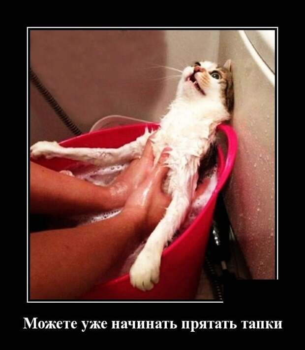Демотиваторы (30 фото)