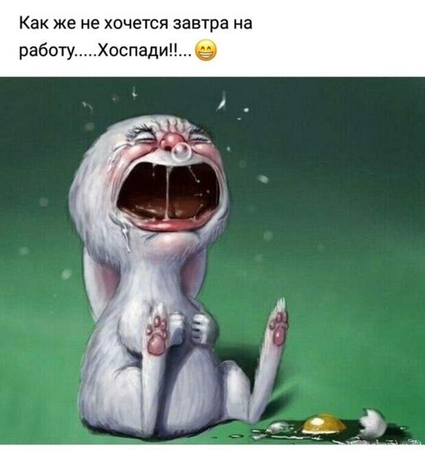 У кого-то истерика... У кого-то истерика...