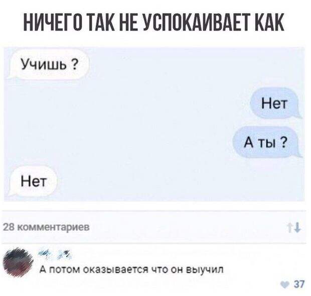 Смешные картинки с подписями (20 фото)