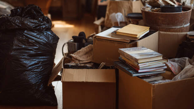 Целая цепочка: какие сервисы помогают москвичам избавляться от ненужного