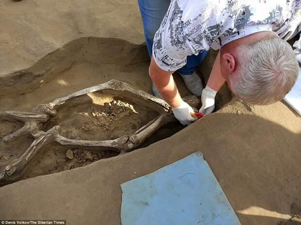 В России нашли 1300-летний «танцующий скелет» и его могила уникальна могила, находка, скелет