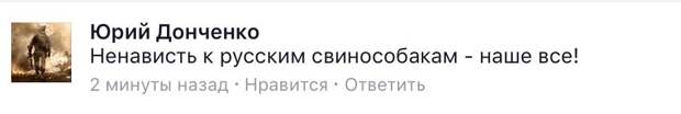 Юрий Донеченко