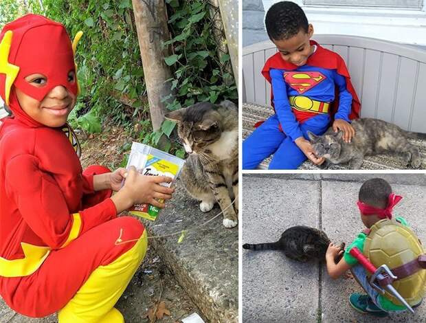 5-летний мальчик помогает уличным котам доброта, жизнь, история, люди, мир, фото, человечество