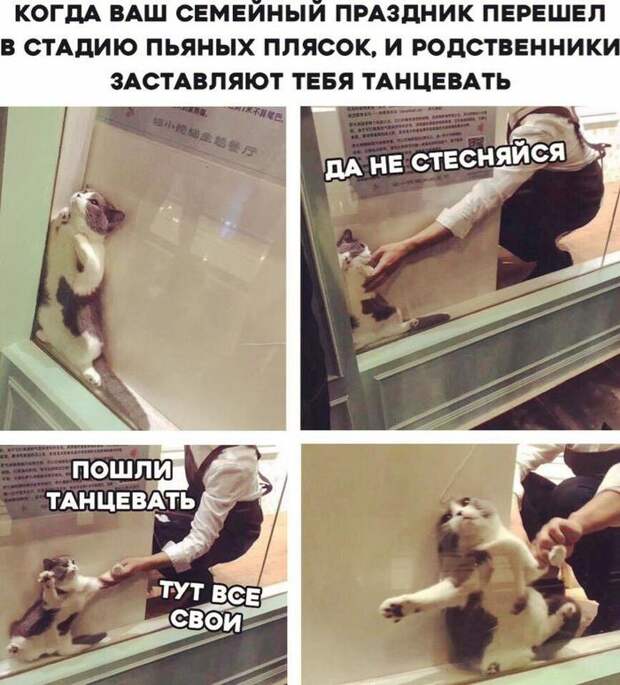 Да не умею я!!! Да не умею я!!!