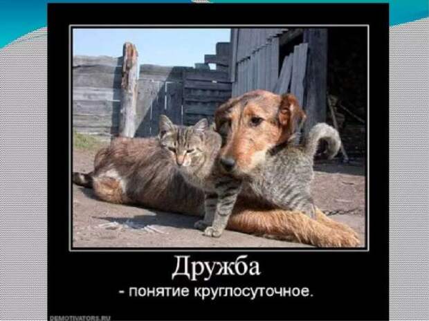 Прикольные демотиваторы с надписями. Подборка chert-poberi-dem-chert-poberi-dem-14580603092020-4 картинка chert-poberi-dem-14580603092020-4