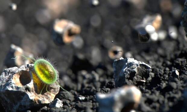 Ученые доказали, что бактерии могут путешествовать между планетами на метеоритах