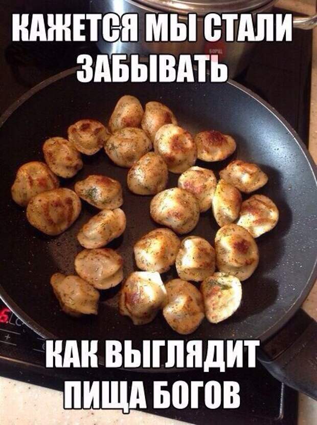YlTXs5jzEEc