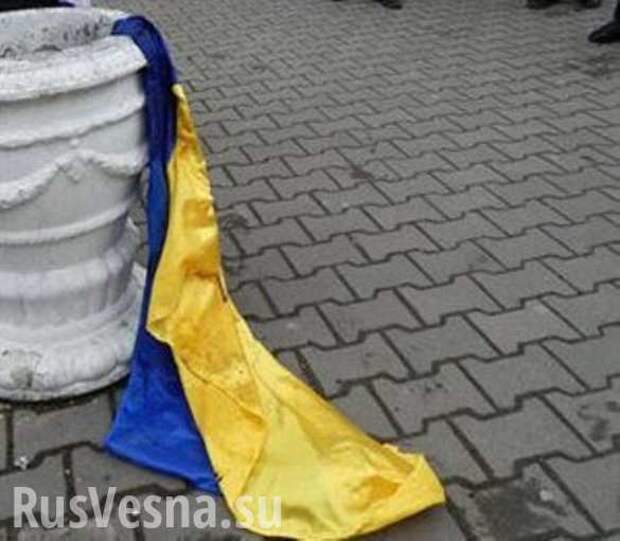 Всё решат без нас! О панике украинских политиков — мнение | Русская весна