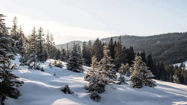Обнаружены неизвестные снимки из похода группы Дятлова: фото