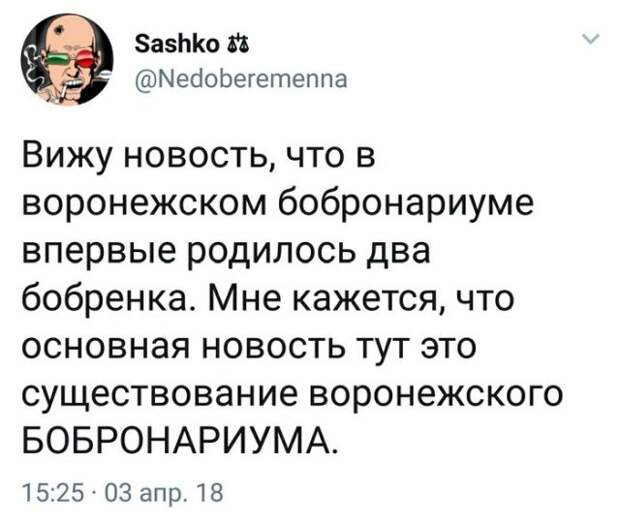 Подборка картинок. Вечерний выпуск (22 фото)
