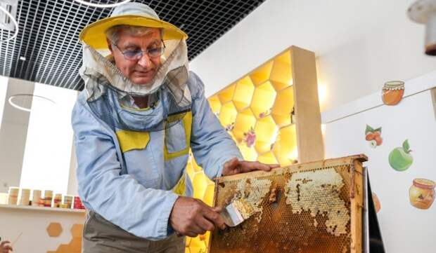 Москвичей пригласили на занятия «Искусство пчеловождения»