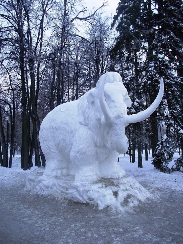 kartinok-veselyh-interesnyh-kartinki-smeshnye-kartinki-fotoprikoly kartinok-veselyh-interesnyh-kartinki-smeshnye-kartinki-fotoprikoly
