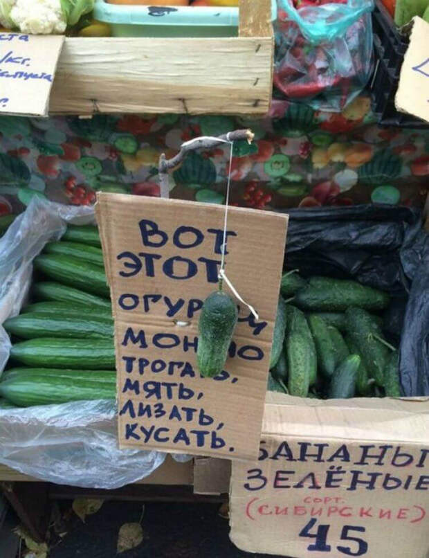 «Мы не хотим этот, мы хотим тот, большой!»