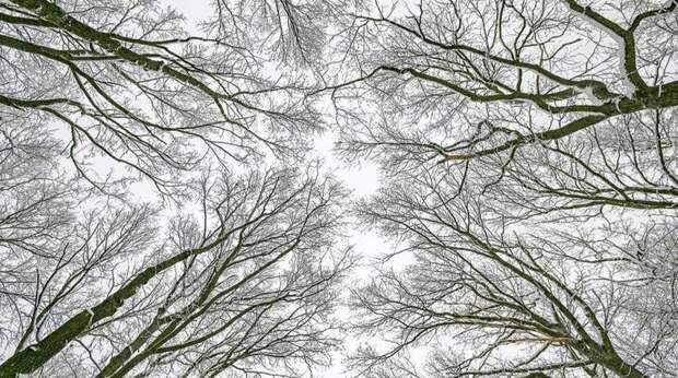 «Афанасьевские» морозы бьют рекорды