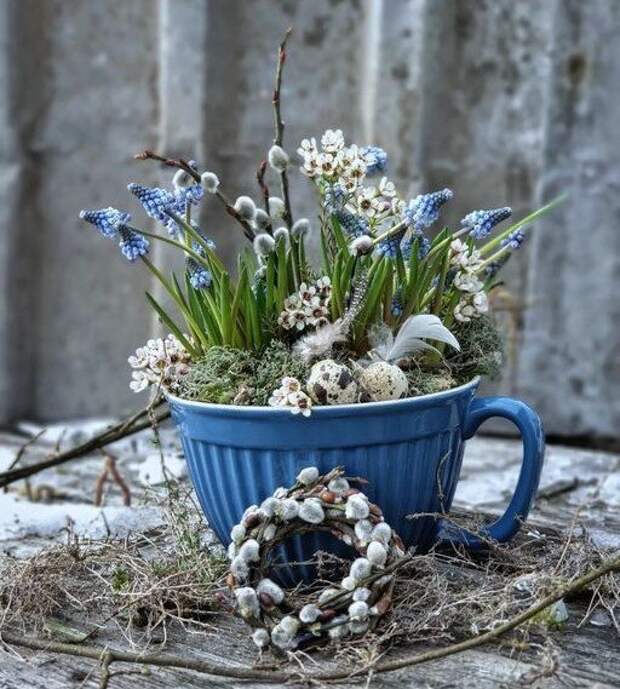 Фото из открытых источников интернета.