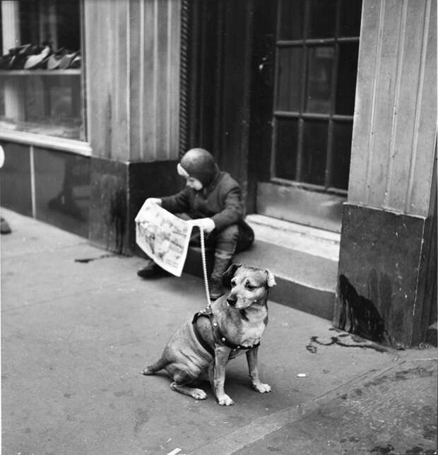 Nina Leen. Ускользающая красота celebrities, fashion, ХХ век, классики фотографии, сша