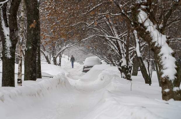 Назван срок полного схода снега в Москве