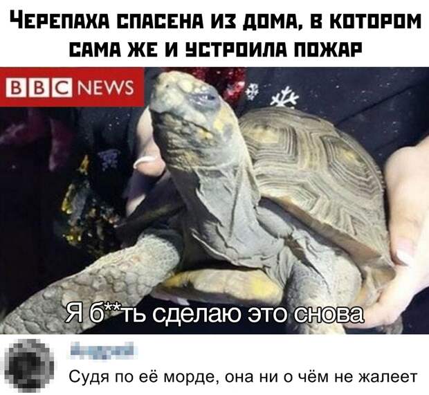 Подборка картинок (32 фото)