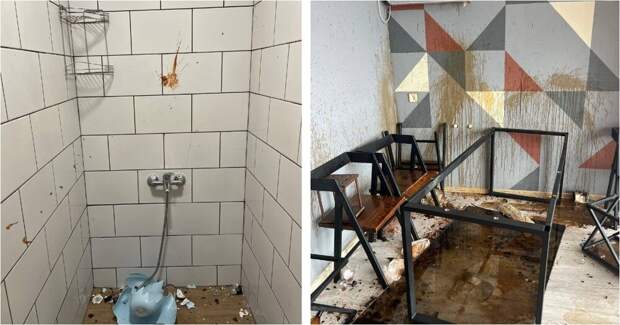 Молодые люди разгромили арендованный коттедж в Тольятти