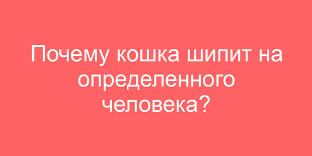 Почему кошка шипит на определенного человека?