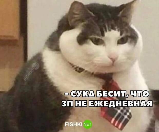 Или ежеминутная Или ежеминутная