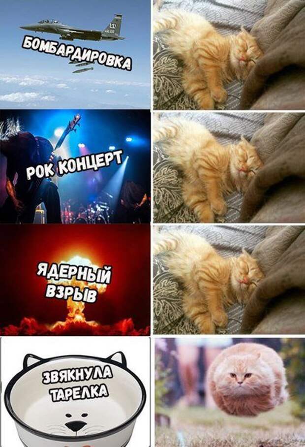 Прикольные фотомемы (23 шт)