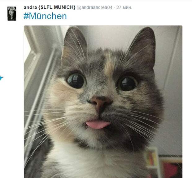 Cn_ki0MWgAAM7bn.jpg